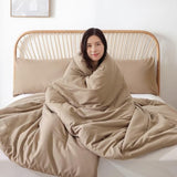 ROSGONIA Queen Comforter Set Taupe Brown, 3pcs(1 Boho Tan Comforter & 2 Pillowcases) All Season Soft Bedding Lightweight Bedspread Blanket Quilt ROSGONIA