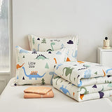 Joyreap Bed in a Bag Cotton, Dinosaur Reversible Design, Twin Size 6-Piece Cotton Bedding Comforter Set for Kids Boys n Girls- 1 Comforter, 2 Pillow Shams, 1 Flat Sheet, 1 Fitted Sheet, 1 Pillowcase Joyreap