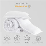 SLEEP ZONE Twin/Twin XL Size Comforter Set Duvet Insert, Down Alternative Reversible Comforter, Lightweight, Soft and Breathable Bedding All Season, Square Quilting White SLEEP ZONE