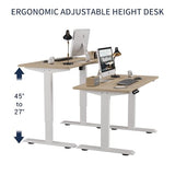 HEONAM 48 Inch Electric Standing Desk with USB Charging Port, Height Adjustable Sit Stand Desk with Memory Presets, Spacious Desktop and Sturdy Metal Frame for Home Office HEONAM