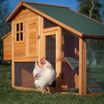 Garden Box Sealer | FDA Food Contact Safe Plant-Based Wood Sealant for Raised Beds, Planters & Pet Houses. Protects All Wood Types from Water & Weather Damage | Eco-Friendly Sustainable Solution Seal It Green