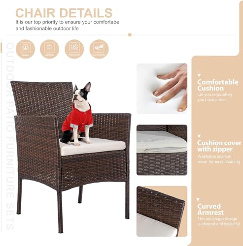 Shintenchi 4 Piece Outdoor Patio Furniture Sets, Small Wicker Patio Conversation Furniture Rattan Chair Set with Tempered Glass Coffee Table for Backyard Porch Garden Poolside Balcony Shintenchi