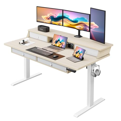 ErGear Electric Standing Desk with 4 Drawers, Height Adjustable Desk with Storage, C-Clamp Mount Compatible, Computer Home Office Table with Cable Management Tray ErGear