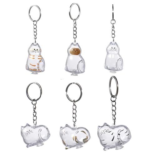 BTYYIHEX 6 Pcs Cat Hair Keepsake Keychains – 2025 New Memorial Capsule Pendants, Fur Holder Bottles for Cat Lovers, Thoughtful Pet Loss or Birthday Gifts