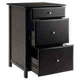 Winsome Delta File Cabinet Black Home Office Winsome