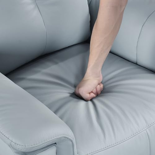 Lexicon Swivel Glider Recliner Chair, Comfy Nursery Glider, Top Grain Leather Match Recliner, Manual Reclining Chair for Living Room/Office/Apartment, Blue Lexicon