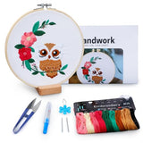 BERYA Owl Embroidery Kit, Embroidery Kit for Adult, Owl Pattern Practice Kit, Including Video Step by Step Instructions, Embroidery Hoop, Cloth, Needles and Thread for DIY Craft Lover (BEO013)