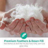 APSMILE Lightweight Feather Down Comforter Queen Size - Ultra Soft 100% Organic Cotton Quilted Duvet Insert, Thin Bedding Comforter for Warm Weather/Hot Sleepers (90x90, Ivory White) APSMILE