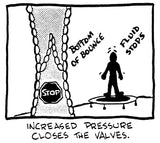 Maximus Life Bounce & Burn Foldable Indoor Mini Trampoline Rebounder USA for Adults | Fun Way to Lose Weight and get FIT! Plus Rebounding Exercise DVD | Optional Handle Bar | Already Assembled MXL MaXimus Life