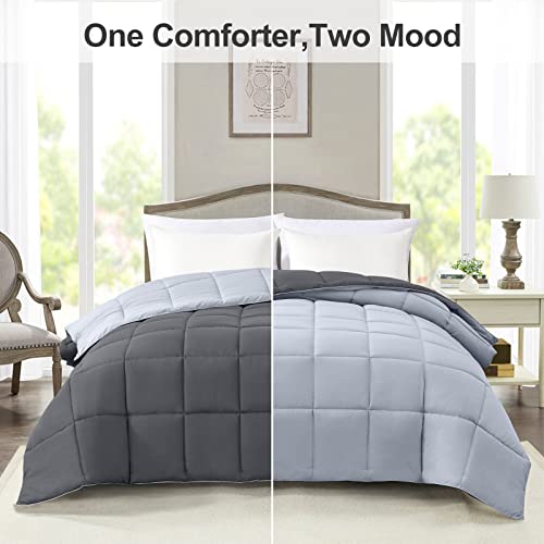 Homelike Moment Comforters Queen Size - Grey Duvet Insert Down Alternative Bed Queen Comforter, Lightweight Bedding Comforters Full Size Quilted Soft All Season Reversible Dark Gray/Light Grey Homelike Moment