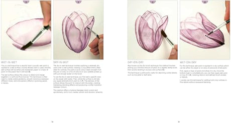How to Paint Transparent Watercolour Flowers WoodArtSupply