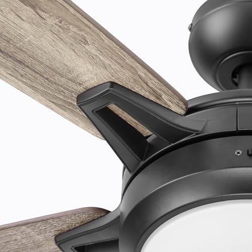 Prominence Home 51649-01 Lorelai Smart Ceiling Fan with Light and Remote, 52, Bronze Prominence Home