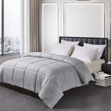 Blue Ridge Home Fashions Comforter Breathable Microfiber Duvet Insert, Summer Cooling Winter Warm Reversible Down Alternative Quilt Comforter for All Season, Full/Queen, White/Platinum Blue Ridge Home Fashions