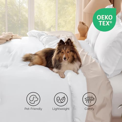 Andency White Queen Size Comforter Set, 3 Pieces Boho Solid Bedding Comforters & Sets, Modern Reversible Soft Lightweight All Season Bed Set for Men Women (90x90Inch Comforter & 2 Pillowcases) Andency