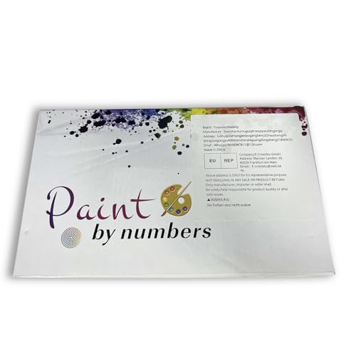 Tucocoo Girl with Flowers on Head Paint by Numbers for Adults Fashion Figure Lady Abstract Drawing Oil Paint by Numbers Modren Lady Head Flower Acrylic Oil Painting Set Without Frame-16''W x 20''H Tucocoo