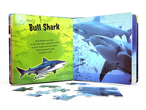 Phidal World of Sharks My First Puzzle Book - Jigsaw Puzzles for kids, 10-page board book, 5 puzzles to enjoy