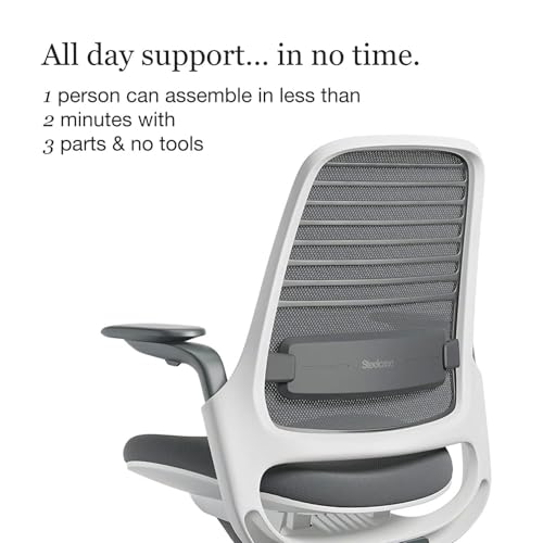 Steelcase Series 1 Office Chair - Ergonomic Work Chair with Wheels for Carpet - Helps Support Productivity - Weight-Activated Controls, Back Supports & Arm Support - Easy Assembly - Graphite, Light Steelcase