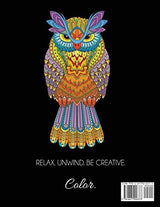 Owls Adult Coloring Book: New and Expanded Edition with 55 Unique Designs Dylanna Publishing, Inc.
