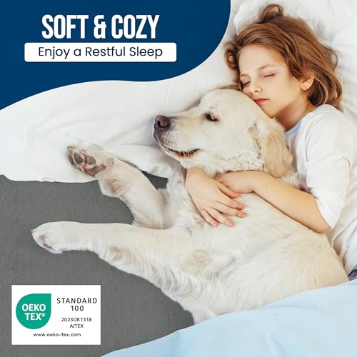 Queen Size Mattress Protector Waterproof, Premium 200 GSM Terry Mattress Cover, Soft & Breathable Bed Cover, Fitted Sheet Style Stretchable Deep Pockets 17" by Utopia Bedding (Gray) Utopia Bedding