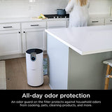 Shark Air Purifier for Home Large Room, Clean Sense Technology, HEPA Air Filter, 1000 Sq Ft, Kitchen, Filters Smoke, Captures 99.98% of Particles, Pet Dander, Pollutants, Dust, Allergens, HP201 Shark