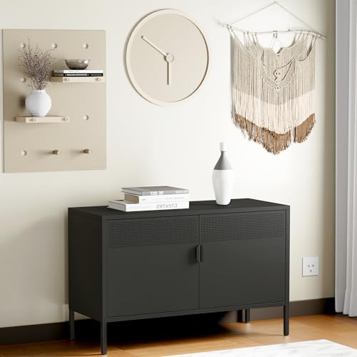 Chshin Metal Storage Cabinet with Doors,Black Accent Cabinet,Metal Locker Storage Cabinets,2 Door TV Media Stand with Removable Shelves for,Home,Office,Entryway,Living Room Chshin