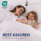 Cathay Home Hotel Luxury Wrinkle & Fade Resistant Double Brushed Ultra Soft Microfiber 1-Piece Single Flat Sheet - Chocolate, Twin (66" x 96") Cathay Home