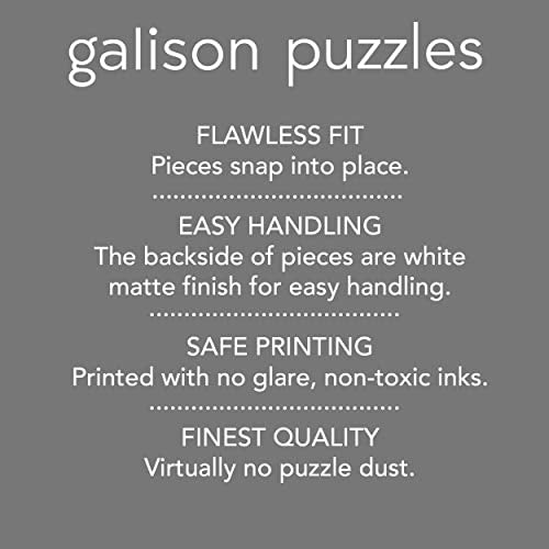 Galison Fireside Friends 1000 Piece Puzzle in Square Box from Galison - Holiday Puzzle for Adults with Beautiful Artwork, Thick and Sturdy Pieces, Makes a Wonderful Gift! Galison