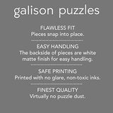 Galison Fireside Friends 1000 Piece Puzzle in Square Box from Galison - Holiday Puzzle for Adults with Beautiful Artwork, Thick and Sturdy Pieces, Makes a Wonderful Gift! Galison