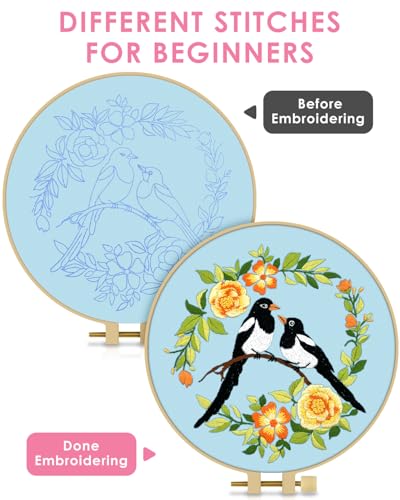 TINDTOP Embroidery Kit for Beginners Adult, Bird Embroidery Kit for Beginners Include Embroidery Cloth Hoops Threads for Craft Lover Hand Stitch with Embroidery Skill Techniques TINDTOP
