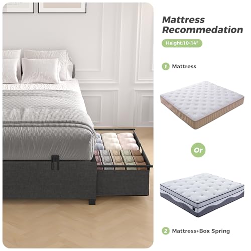 HAUOMS Twin Size Bed Frame with 2 Large Storage Drawers, Platform Bed with Drawers, Heavy Metal Slats Support, No Box Spring Needed, Noise Free, Easy Assembly, Dark Grey HAUOMS