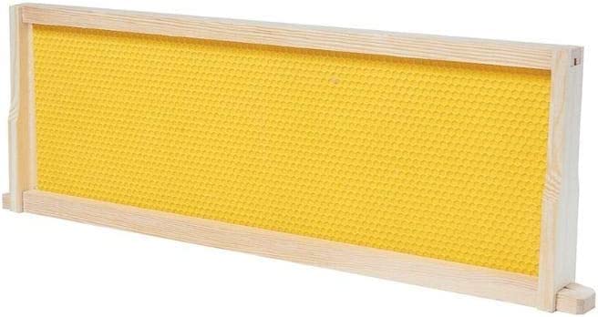 BeeCastle 20-Pack Beehive Bee Frames Waxed Foundation with Complete Unassembled Commercial Frames, 6-1/4-Inch (Yellow) BeeCastle