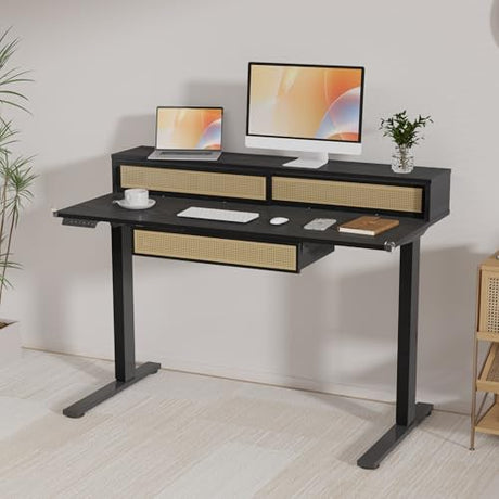 FLEXISPOT Q4 One-Piece Standing Desk with Rattan Drawers, 48 x 24 Inch Adjustable Height, Electric Stand Up Table with Monitor Shelf, Home Office Ergonomic Computer Desk with Memory Presets, Black FLEXISPOT