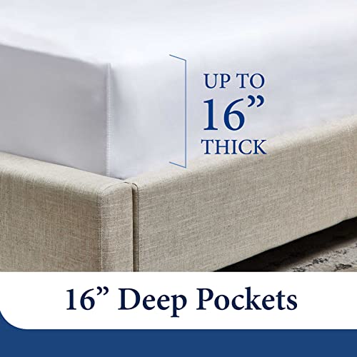 Cosy House Collection Everyday 1500 Series Bed Sheet Set - Ultra Soft & Cool Hotel Luxury Bedding - Deep Pocket - Wrinkle, Stain and Fade Resistant - 4 Piece Set (King, Ivory) Cosy House Collection