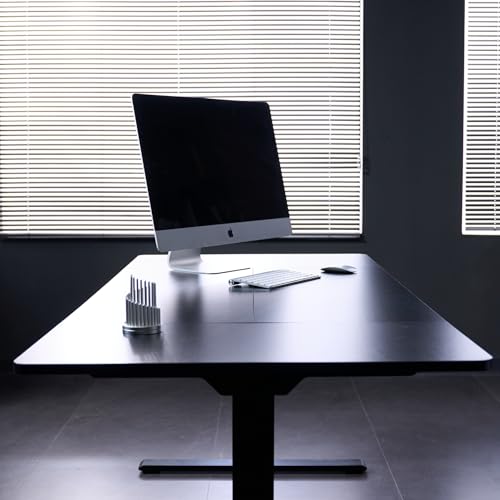 FLEXISPOT 79"x32" Large Dual Motor Electric Standing Desk, Black - 198 LBS Heavy-Duty Capacity, Ideal for Home Office, Creative Studio, or Multi-Monitor Setup FLEXISPOT