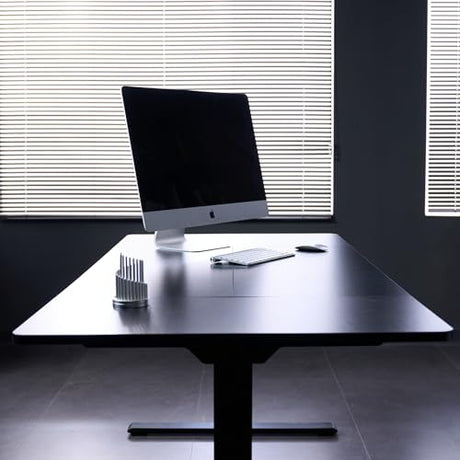 FLEXISPOT 79"x32" Large Dual Motor Electric Standing Desk, Black - 198 LBS Heavy-Duty Capacity, Ideal for Home Office, Creative Studio, or Multi-Monitor Setup FLEXISPOT