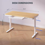 Standing Desk with Drawer, Electric Height Adjustable Home Office Desk with Storage & USB Ports, 55 inch Maple Wood Tabletop/White Frame SANODESK