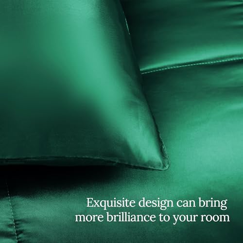 Whale Flotilla 2-Piece Reversible Silky Soft Twin Size Comforter Bedding Set, Luxurious Satin Comforters with Satin Pillowcase, Lightweight Duvet for All Seasons,Deep Green Whale Flotilla