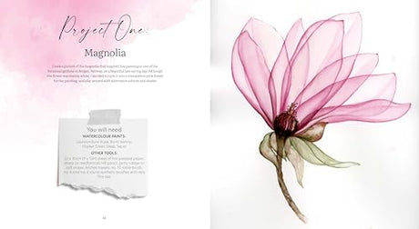 How to Paint Transparent Watercolour Flowers WoodArtSupply