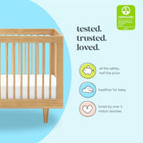 DaVinci Marley 3-in-1 Convertible Crib in Honey, Greenguard Gold Certified DaVinci