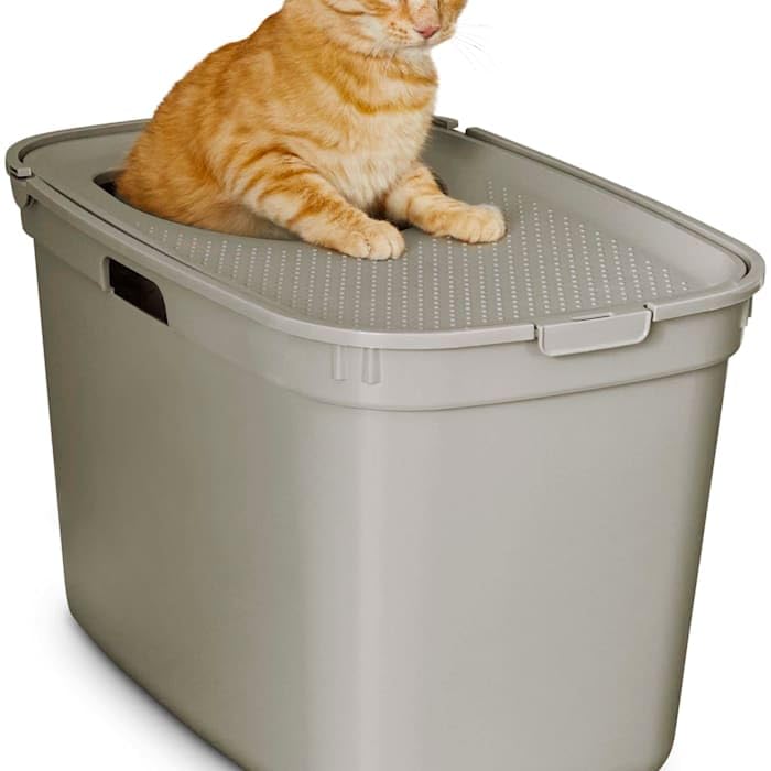 So Phresh Top-Entry Litter Box Tan 23.2" L X 15.4" W X 15" H SO PHRESH