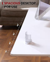 SANODESK Dual Motor Electric Standing Desk 79 x 32 Inches, Height Adjustable Sit Stand Desk with Large Splice Board for Home Office, Computer Workstation, Study & Gaming, White Frame/White Top SANODESK