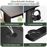 48 x 24 in Electric Standing Desk - Memory Height Adjustable Ergonomic Sit-to-Stand Rising Computer Table Gaming Workstations with 2 Hooks and Wire Hole for Home Office, Black SageNest