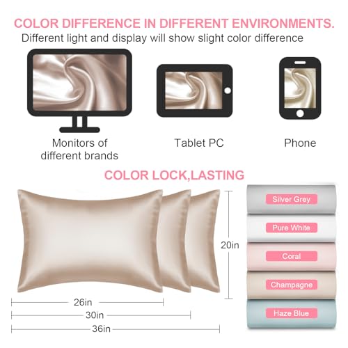 Mulberry Silk Pillow Cases 2 Pack Standard Size 20x26 Inches with Hidden Zipper, Ultra Smooth and Soft Breathable Cooling Silk Satin Pillowcase Set of 2, Better for Hair and Skin, Gifts for Women Men LYSHIN