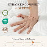 CH CHARME HOUSE Queen Mattress 10 Inch Hybrid Mattresses in a Box, Medium Feel Foam and Individual Pocket Springs, Fiberglass Free Mattress, Extra Edge Support, Pressure Relief, CertiPUR-US CH CHARME HOUSE