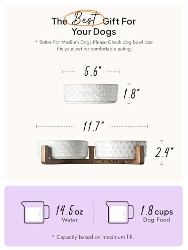 LE TAUCI Dog Bowls Small Breed,Dog Bowl Set with Acacia Wood Stand,1.8 Cups Food and Water Bowl for Small Dogs and Cats, Weighted Dog Dishes, Pet Bowls LE TAUCI