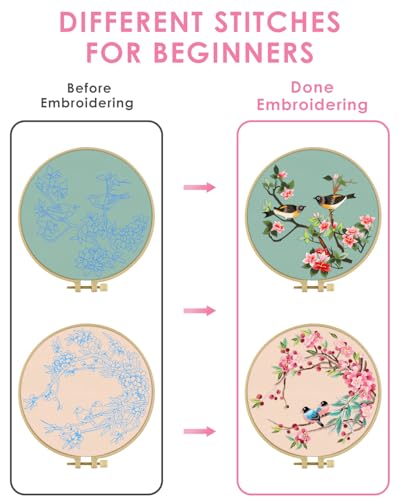 TINDTOP Embroidery Kit for Adult, Owl Embroidery Kit for Beginners Include Embroidery Cloth Hoops Threads for Craft Lover Hand Stitch with Embroidery Skill Techniques (Bird) TINDTOP