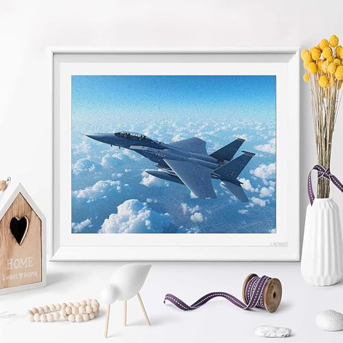 Eagle Jet Plane Paint by Number for Adults DIY Painting Kits Arts Crafts for Home Decor Gift 16x20in LAENAKR