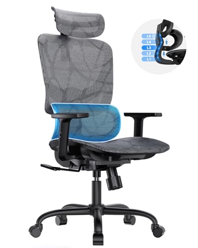 HUANUO Ergonomic Mesh Office Chair with 5-Level Lumbar Support, Computer Gaming Chair with Adjustable Headrest & Armrests, Rocking Tilt, Comfortable High Back Desk Chair for Home Office HUANUO