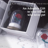 Lifelisa Pet Hair Memorial Bottle, Dog Cat Fur Memorial Keepsake, Pet Urns with Eternal Rose DIY, Dog Ashes Keepsake Small Pet Urn for Cat, Dog Memorial Gifts for Pet Loss(Red) (Red)