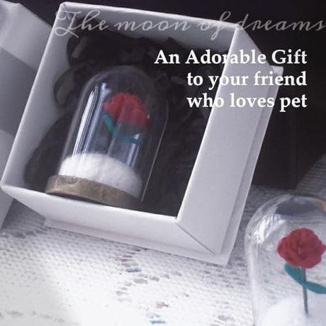 Lifelisa Pet Hair Memorial Bottle, Dog Cat Fur Memorial Keepsake, Pet Urns with Eternal Rose DIY, Dog Ashes Keepsake Small Pet Urn for Cat, Dog Memorial Gifts for Pet Loss(Red) (Red) Lifelisa